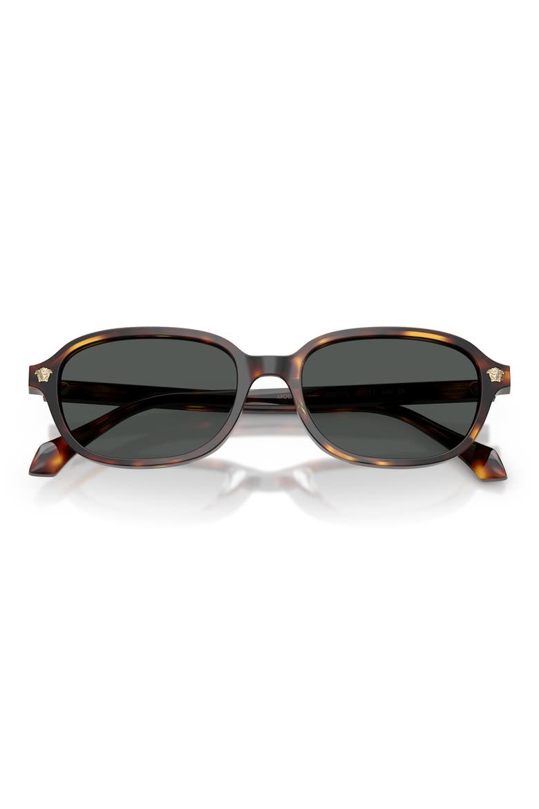 53mm Pillow Sunglasses, Alternate, color, HAVANA / DARK BROWN