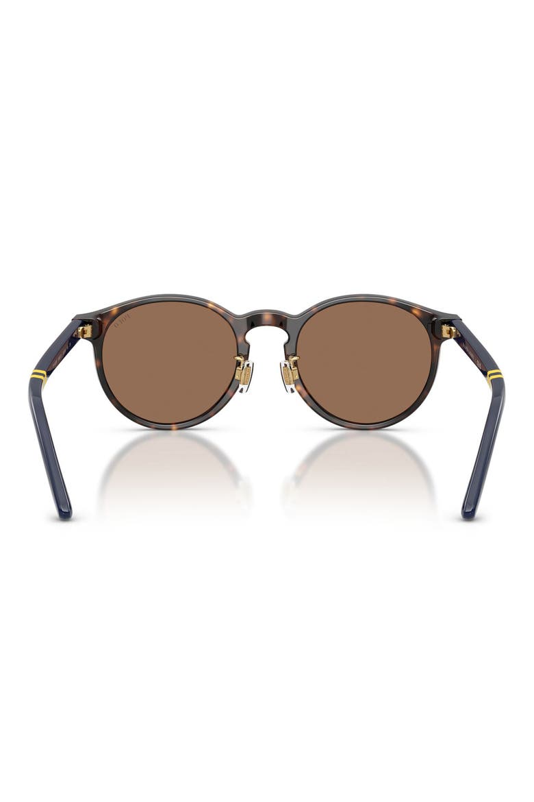 50mm Round Sunglasses, Alternate, color, SHINY DARK HAVANA / BROWN