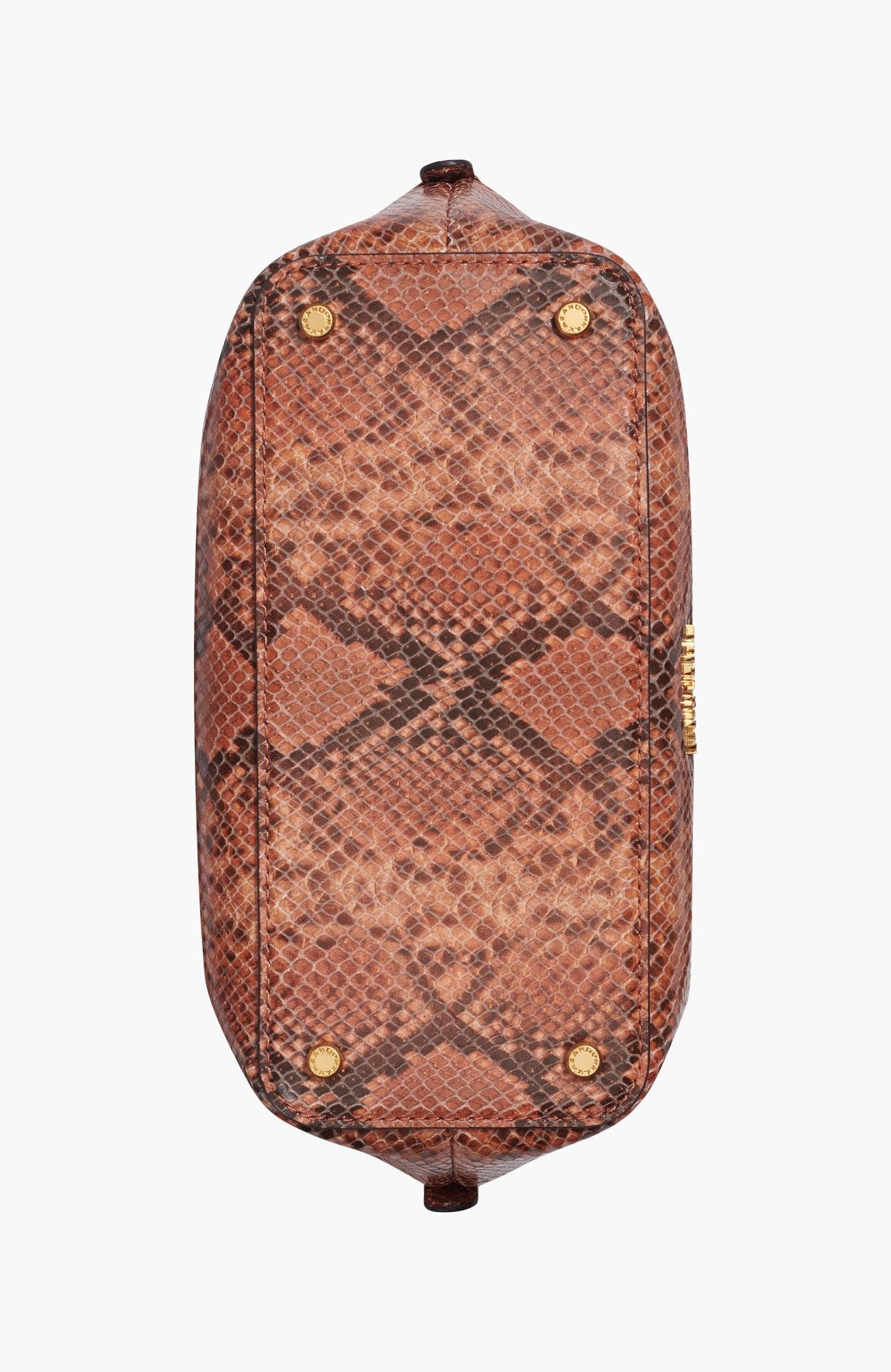 Oxford Snake Crossbody Bag, Alternate, color, Amber