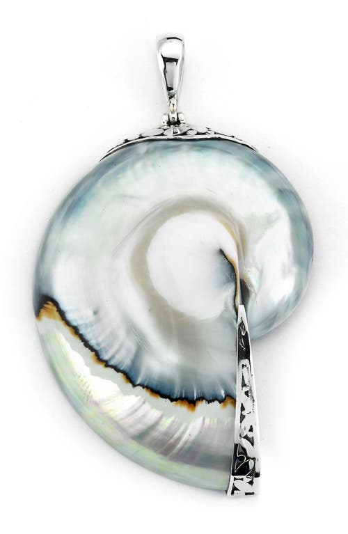 Samuel B. Sterling Silver Nautilus Shell Pendant In Blue