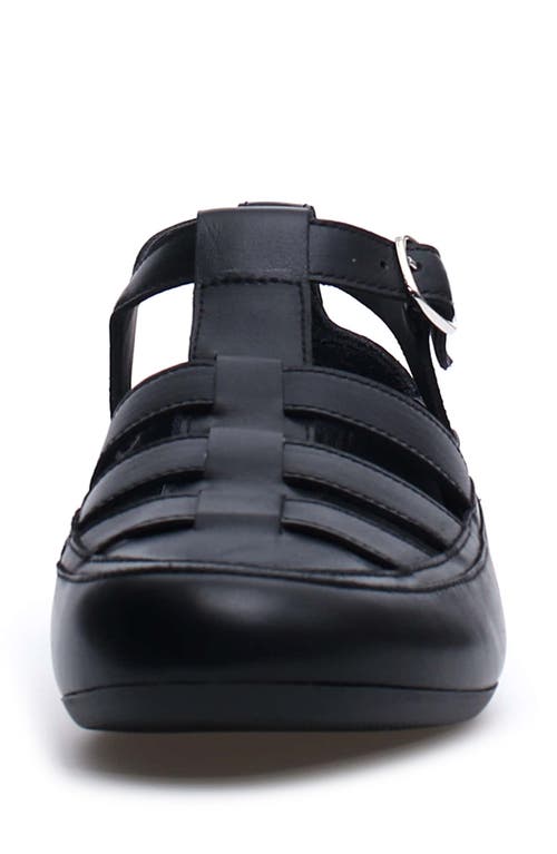 Candice Cooper Rock T-bar Fisherman Sandal In Black