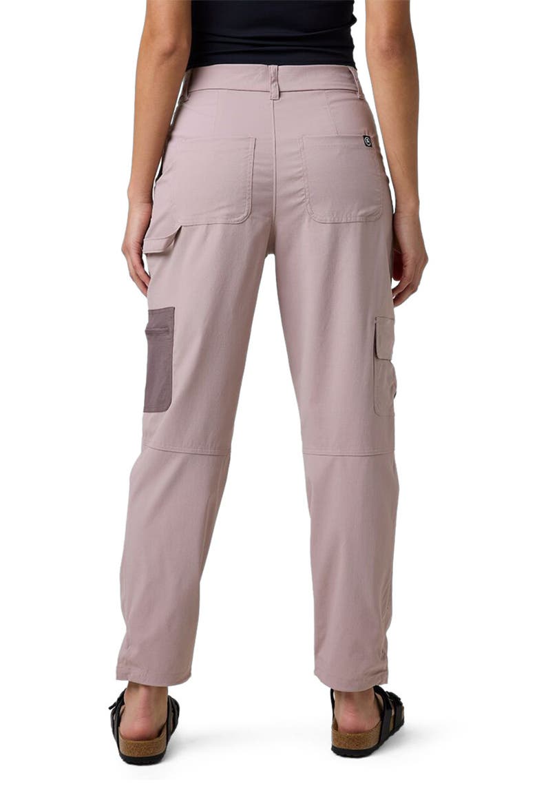 Wasatch Ripstop Cargo Pant - Women's, Alternate, color, Bark/Granite Plum