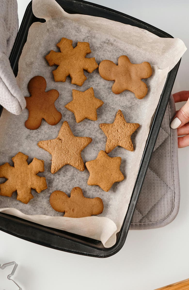 Vitruvi Plug-In Scent Refill, Alternate, color, Gingerbread