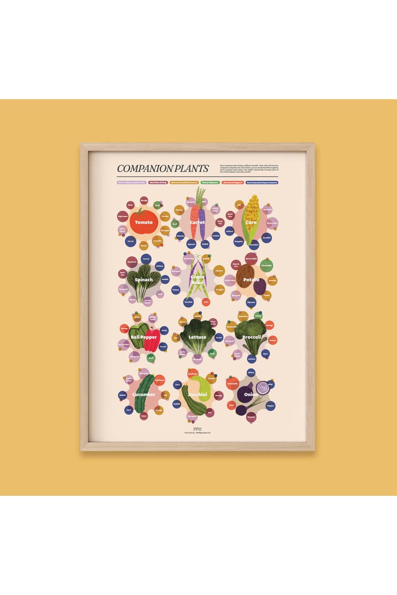 Companion Plants Giclée Print, Alternate, color, Multi