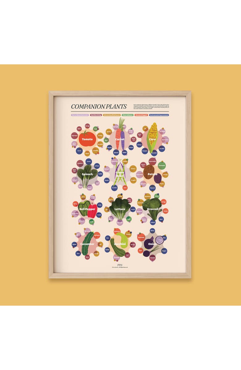 Fun Fact Co. Companion Plants Giclée Print, Alternate, color, Multi
