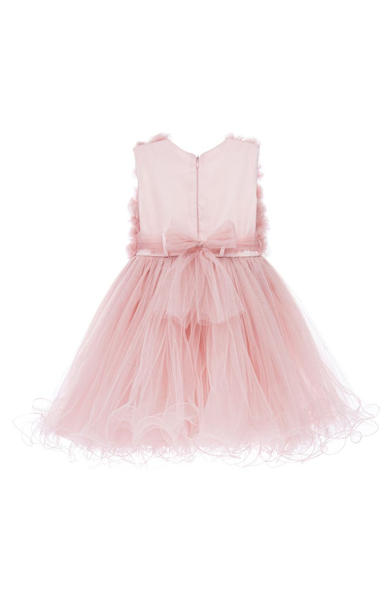 Tulleen Cambriana Dress, Alternate, color, Pink