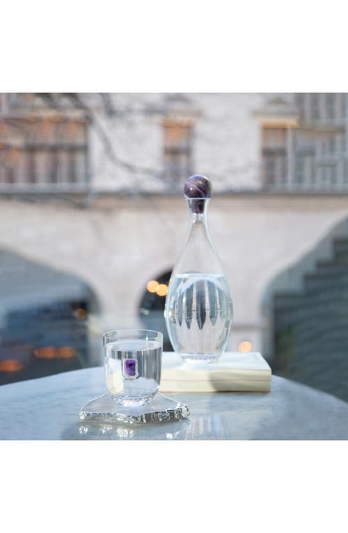 Anna New York Elevo Crystal & Cape Amethyst Decanter In Amethyst