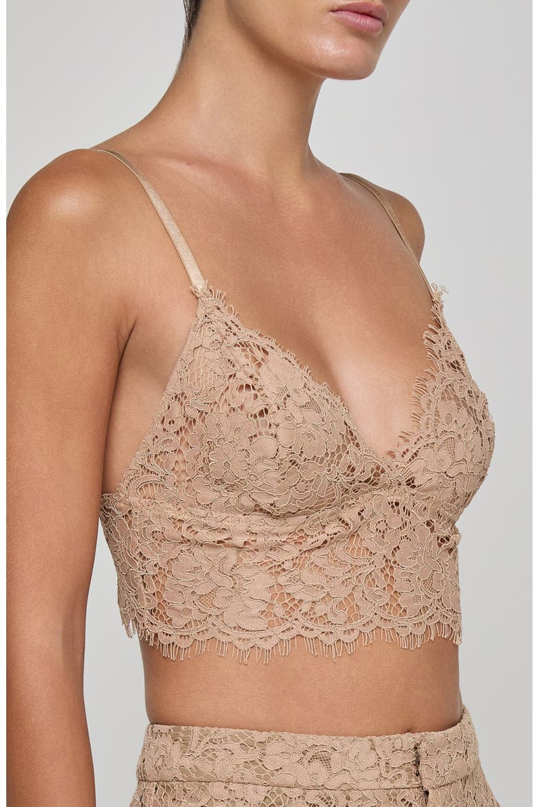 Aislin Lace Bralette Top, Alternate, color, CAPPUCCINO