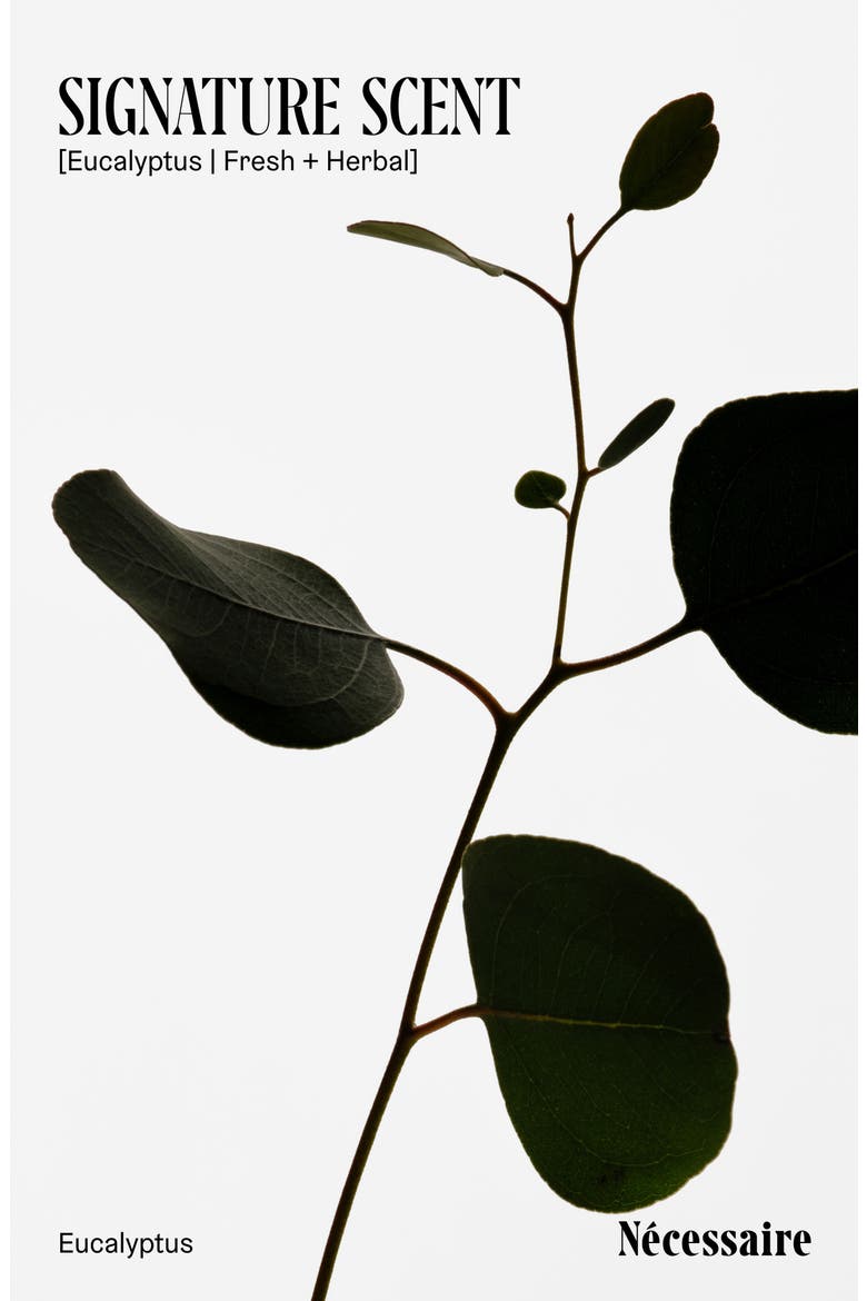 Eucalyptus Water, Alternate, color, NO COLOR