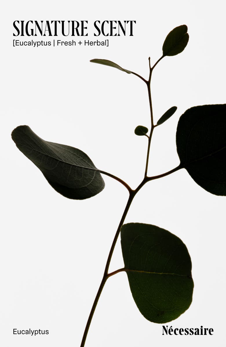 Nécessaire Eucalyptus Water, Alternate, color,