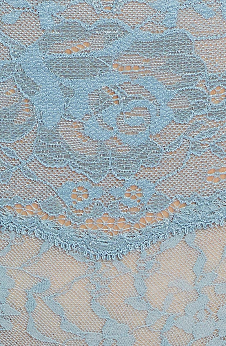 Hanky Panky American Beauty Rose Lace Briefs, Alternate, color,