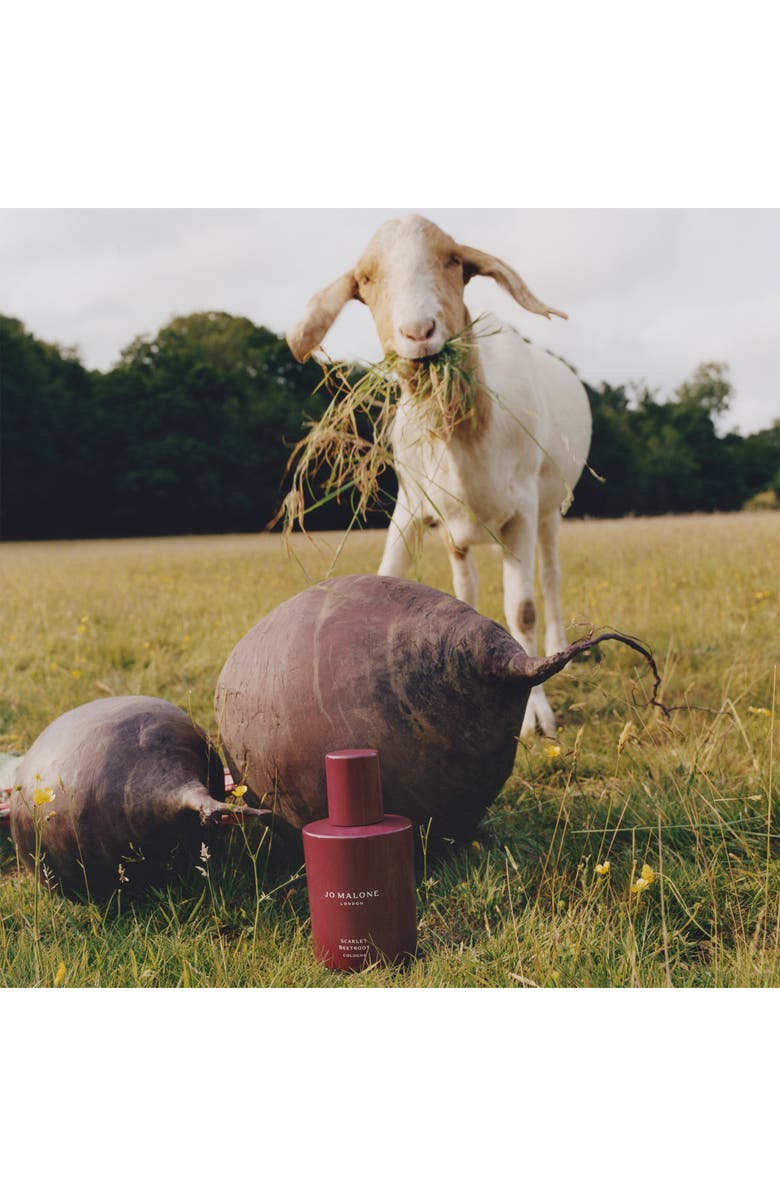 Jo Malone London<sup>™</sup> Scarlet Beetroot Cologne, Alternate, color, 