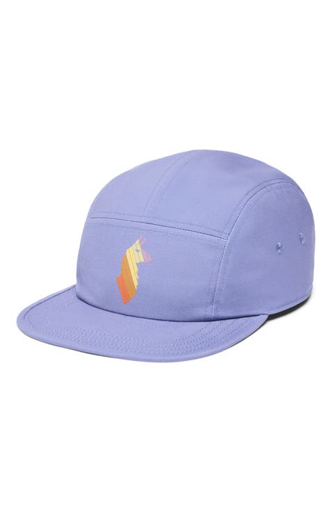 Llama Stripes 5-Panel Hat