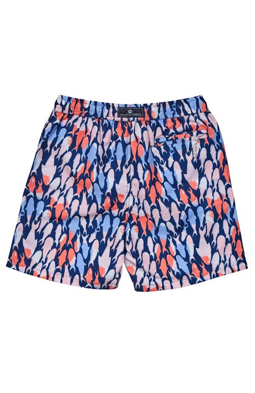 Snapper Rock Printed Swim Shorts In Multi