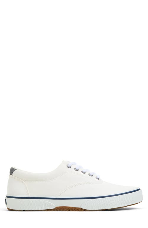 Sperry Halyard Cvo Sneaker In White
