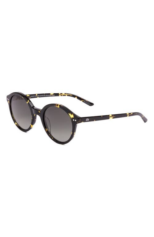 Sito Shades Dixon Polar 52mm Round Sunglasses