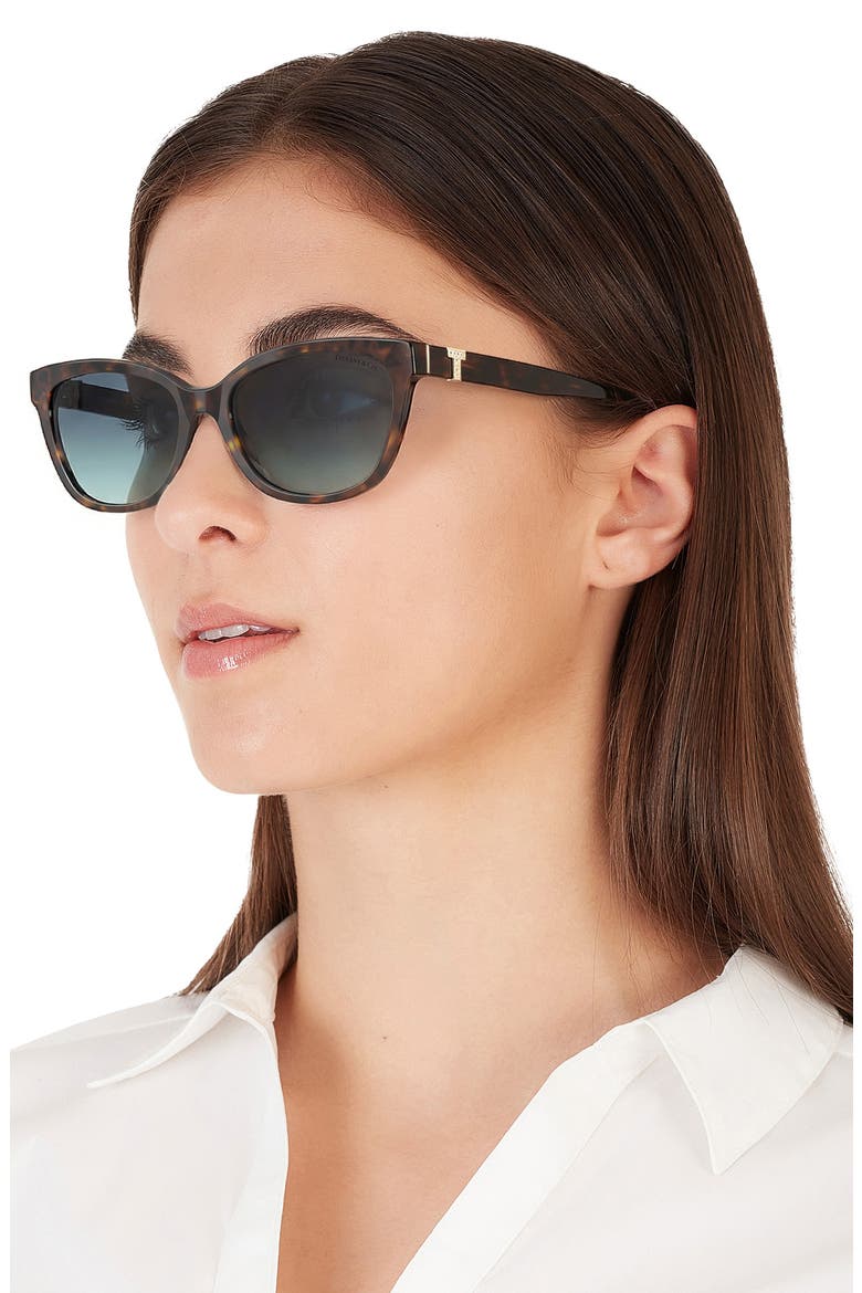 55mm Gradient Cat Eye Sunglasses, Alternate, color, HAVANA / AZURE GRADIENT BLUE