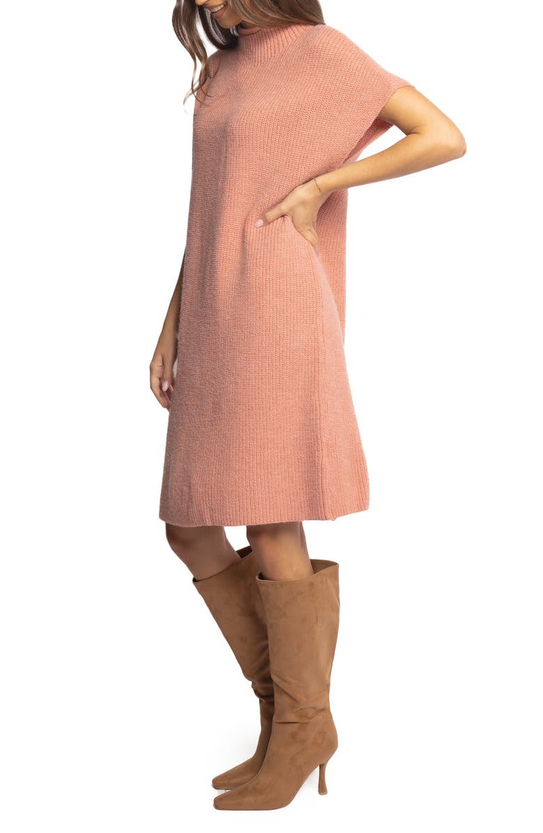 Petal & Pup Wright Mock Neck Sweater Dress, Alternate, color,