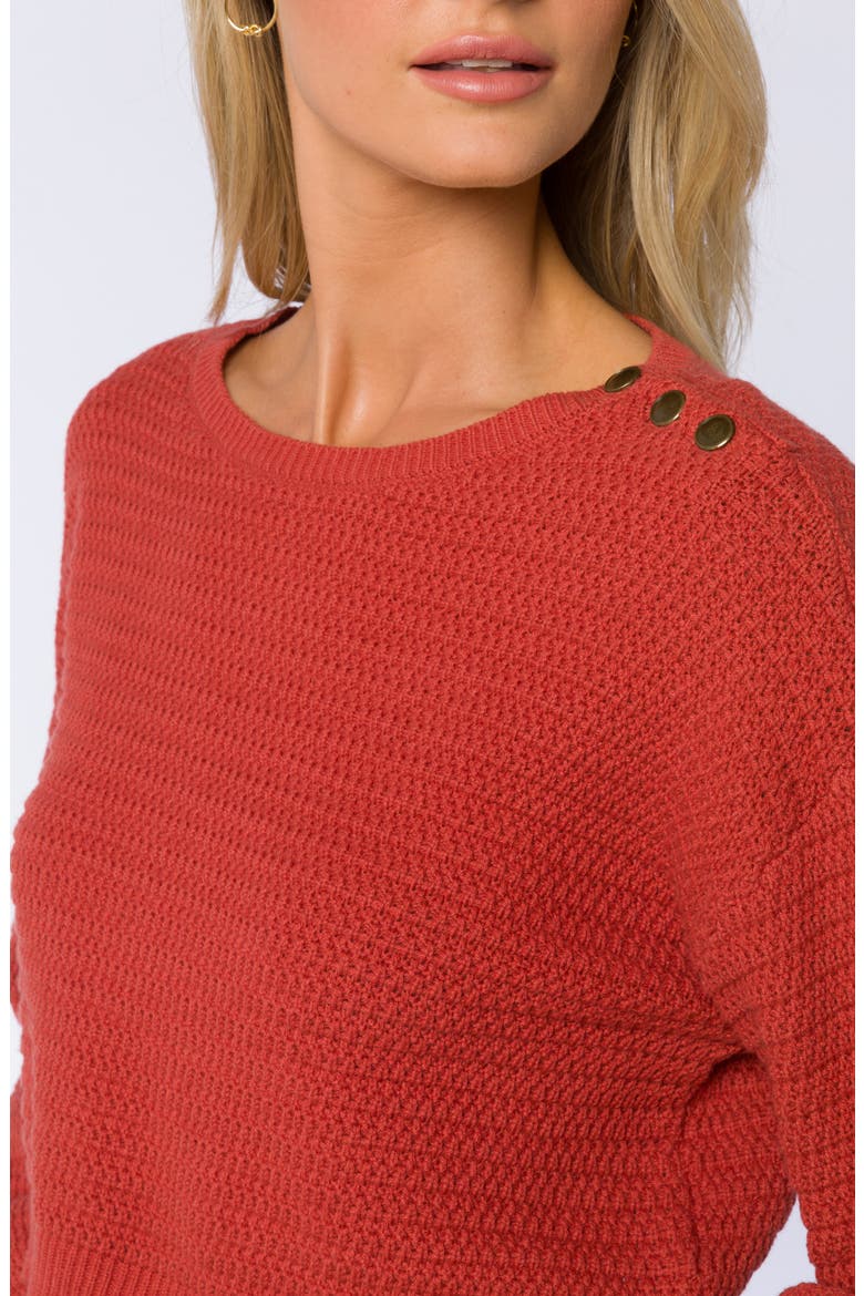 Carla Crop Sweater, Alternate, color, BURNT CORA