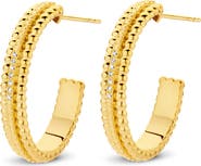 DPT Antwerp Dotty Hoops