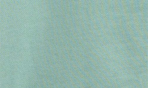 Reigning Champ Midweight Terry Slim Zip Hoodie In Sage