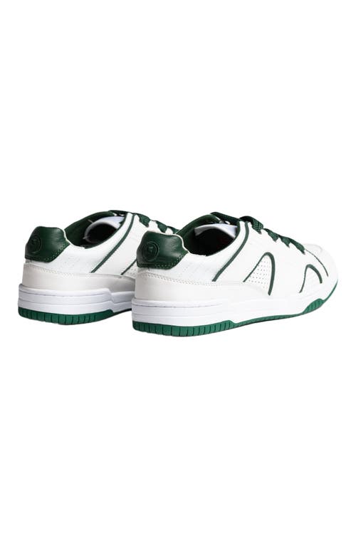 Freshy Steezy Lites Sneaker In Multi