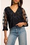 selected Black Embroidery