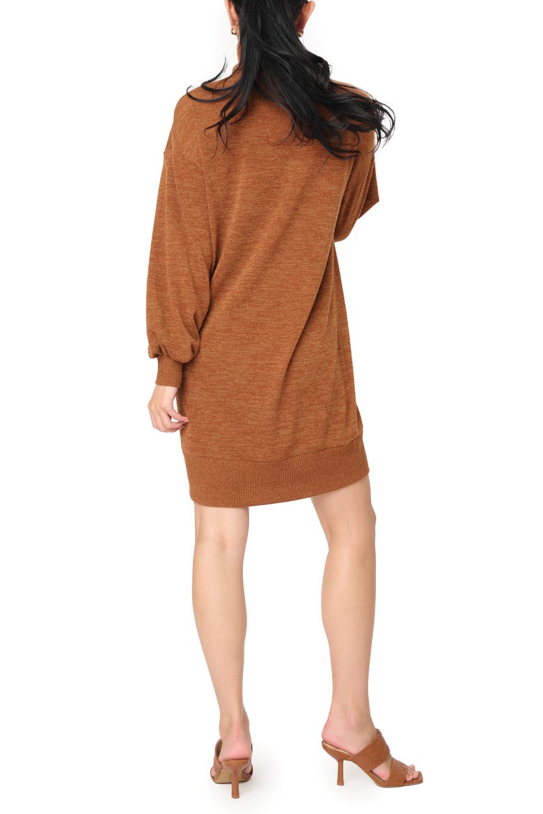 Long Sleeve Sweater Dress, Alternate, color, SADDLE BROWN