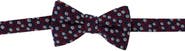Ascentix Metallic Flowers and Leaves Bowtie