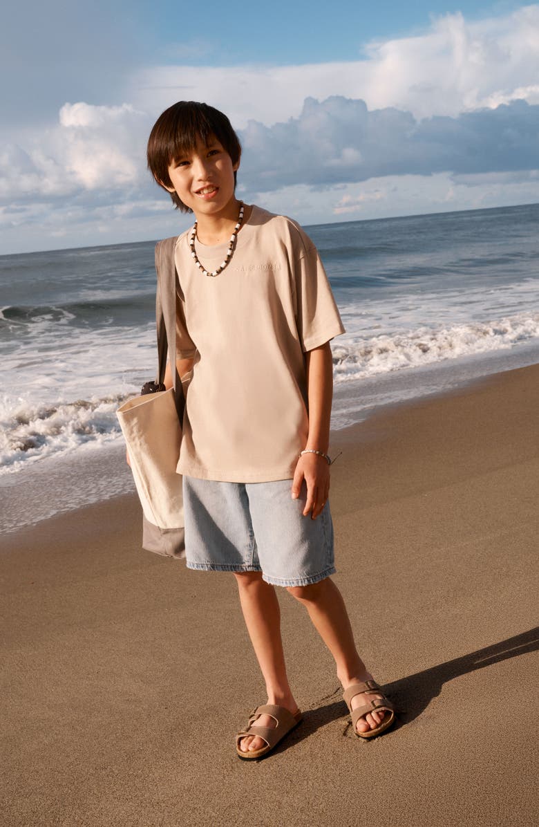 abercrombie kids Kids' Sunfaded Logo T-Shirt, Alternate, color, Simply Taupe