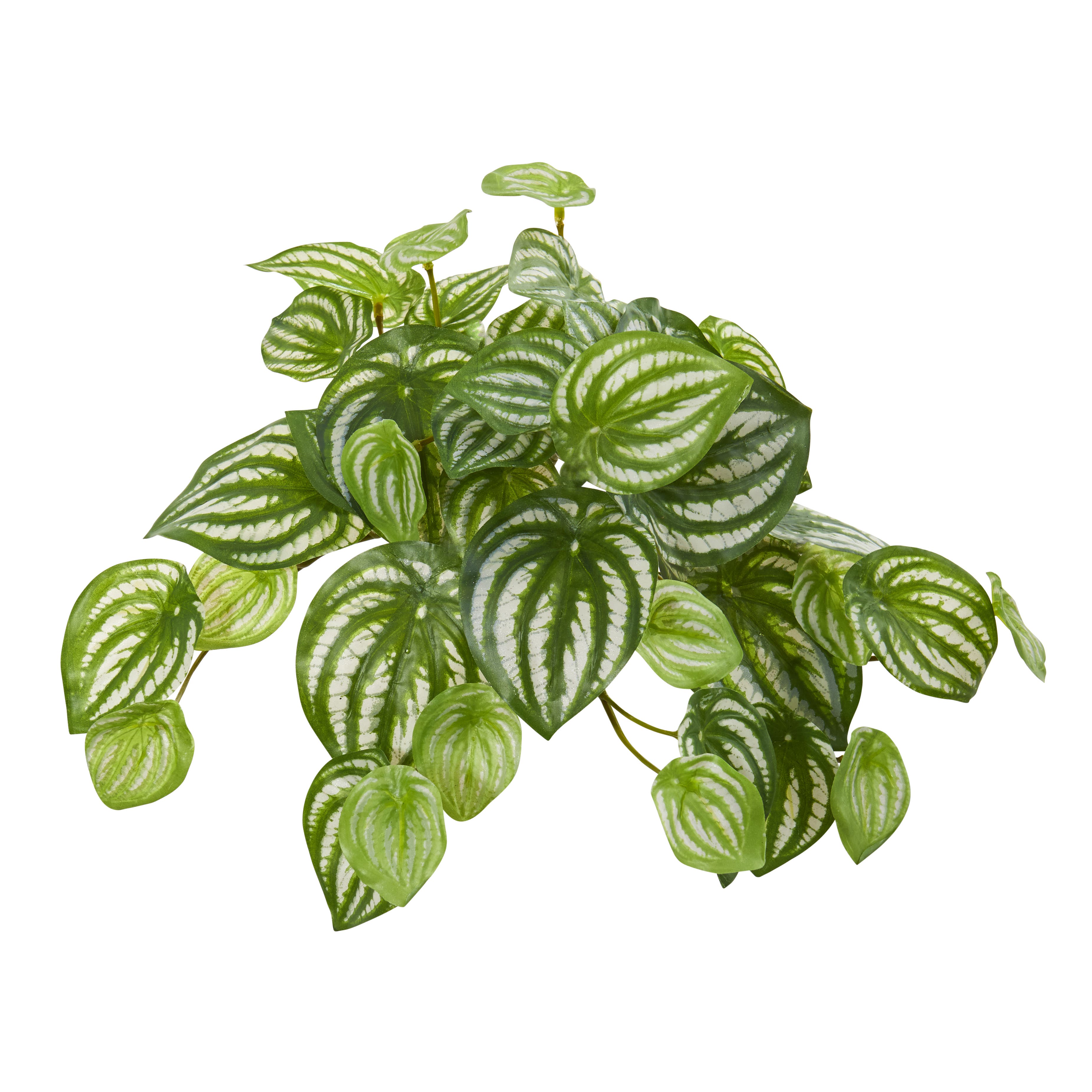 selected Green