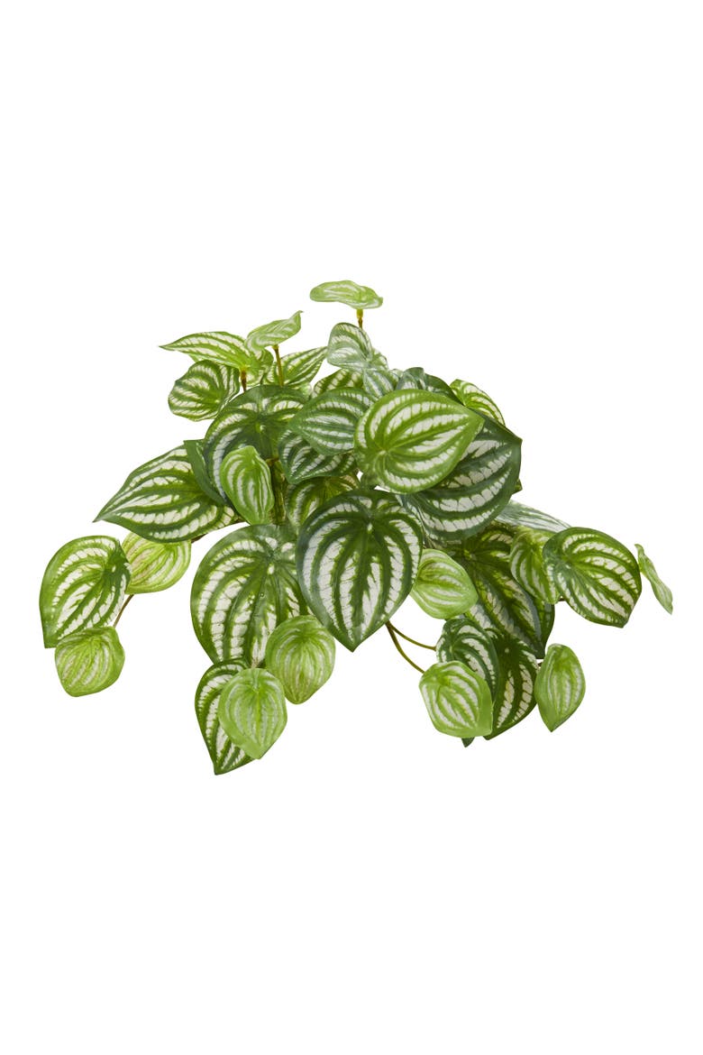 11-in Watermelon Peperomia Hanging Artificial Bush Plant, Main, color, Green