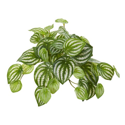 11-in Watermelon Peperomia Hanging Artificial Bush Plant (Set of 12) (Real Touch)