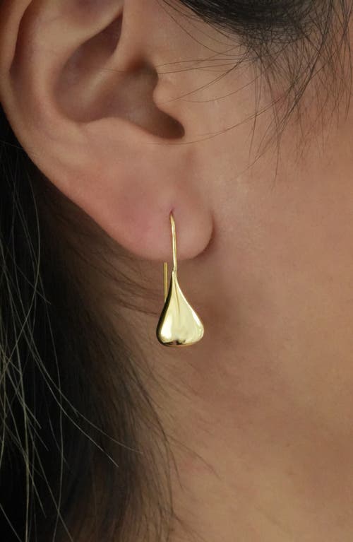 Argento Vivo Sterling Silver Sailaway Teardrop Drop Earrings