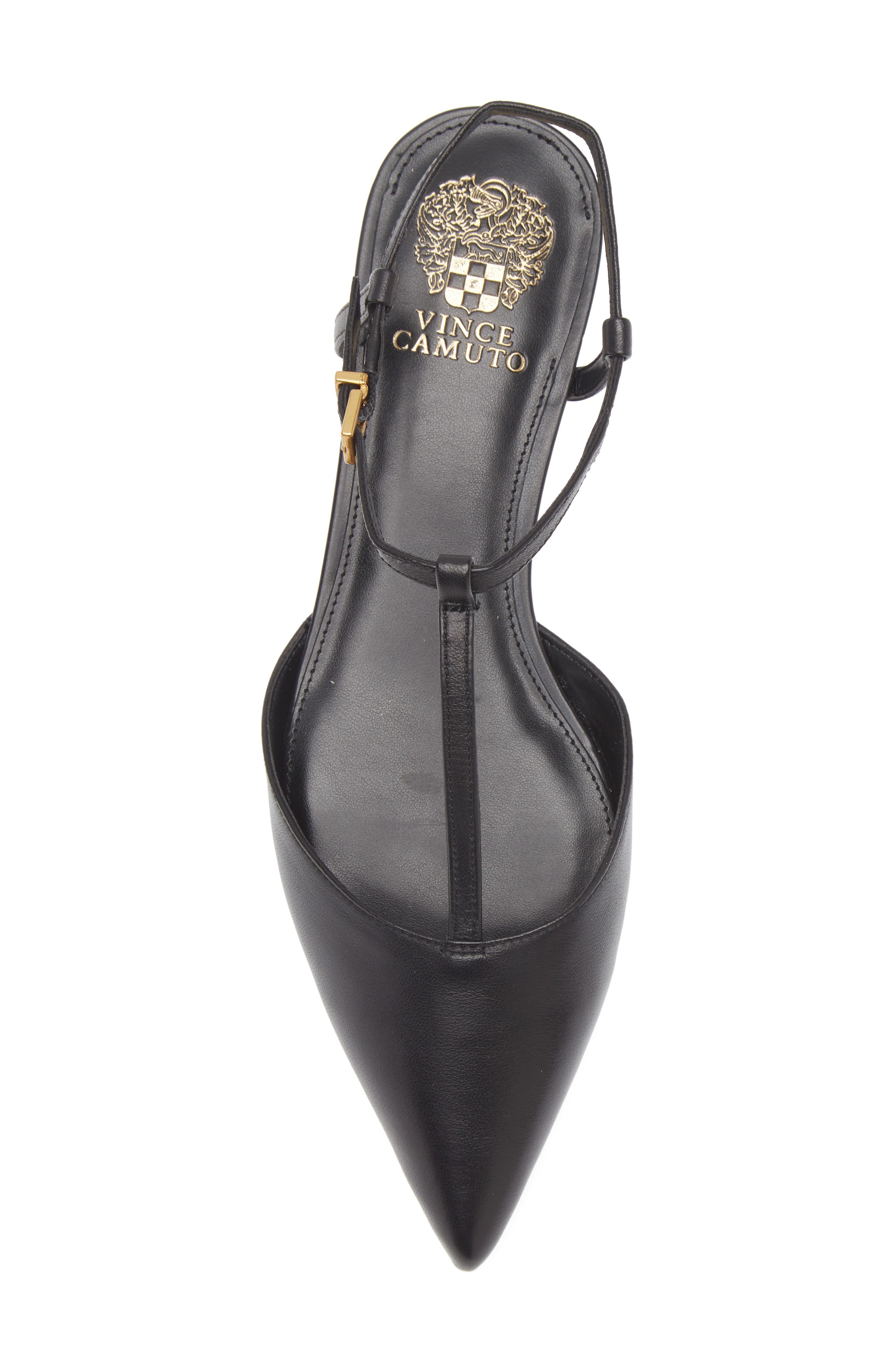 Vince Camuto Varena Ankle Strap Pointed Toe Flat, Alternate, color, Black