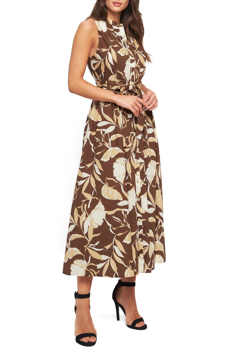 Sleeveless Cotton Poplin Shirtdress, Alternate, color, BROWN