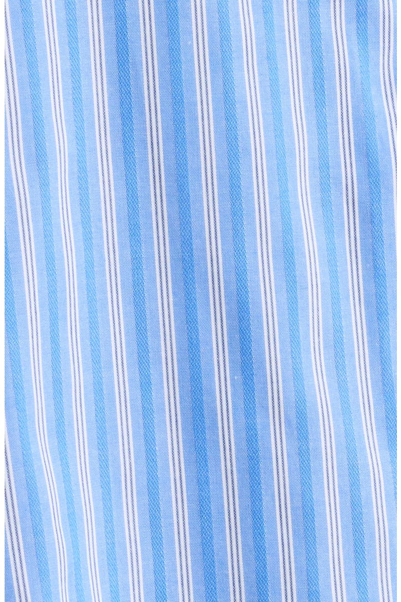 En Vau Oversized Striped Cotton Shirt, Alternate, color, JOAO STRIPE AZULEJO BLUE