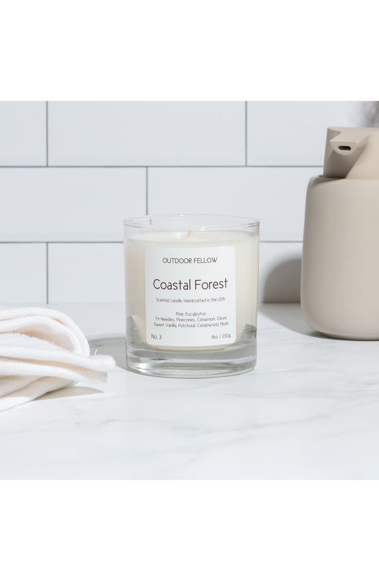 Outdoor Fellow No. 3 Coastal Forest Scented Candle, Alternate, color,