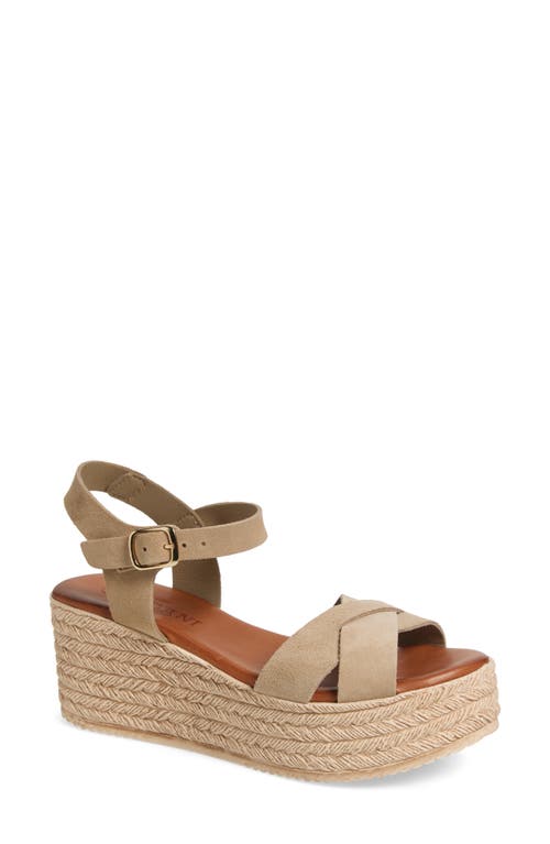 Cordani Bazil Espadrille Ankle Strap Platform Wedge Sandal In Arena Suede
