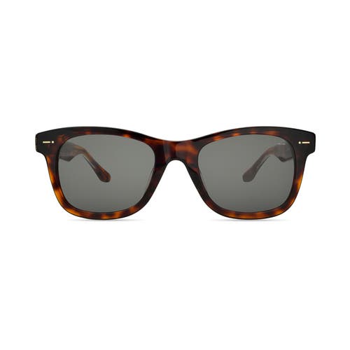 Italia Independent Azzurro Sunglasses in Havana  product