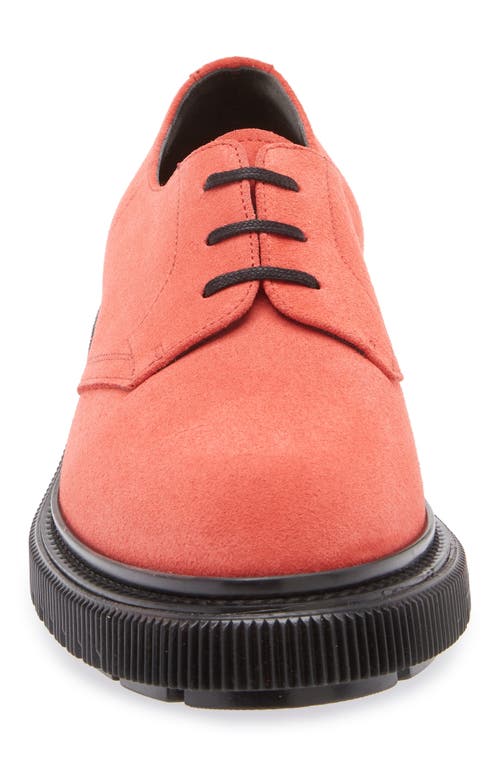 Adieu Plain Toe Derby In Poppy