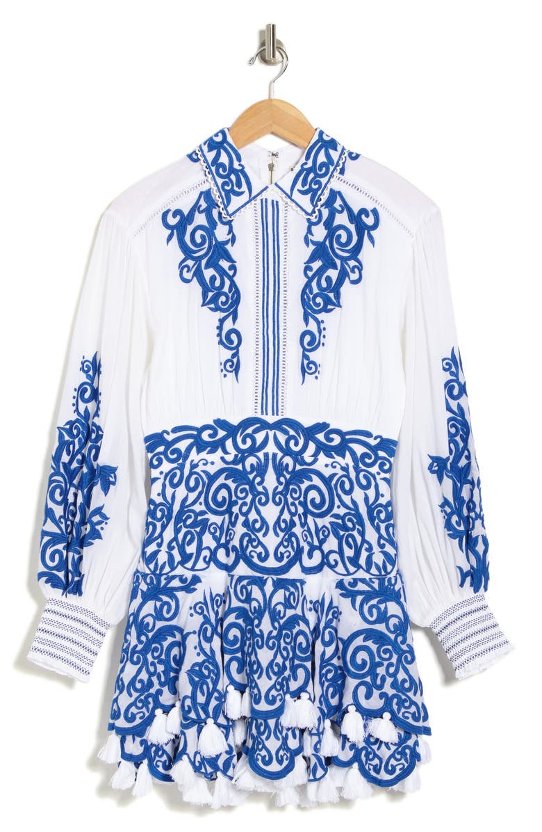 Alice + Olivia Loryn Embroidered Long Sleeve Cotton Shirtdress |  Nordstromrack