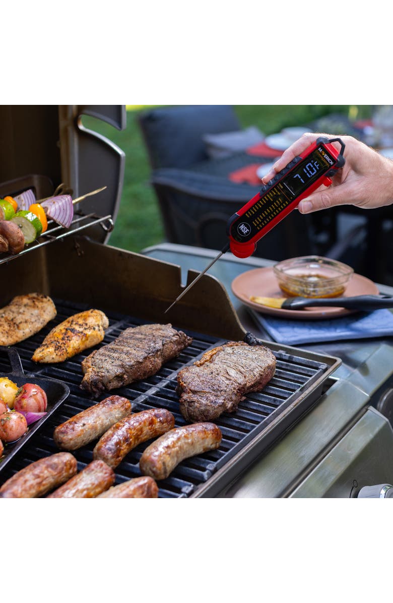 Maverick Pro-Temp Professional Thermocouple Thermometer, Red, Alternate, color, Red