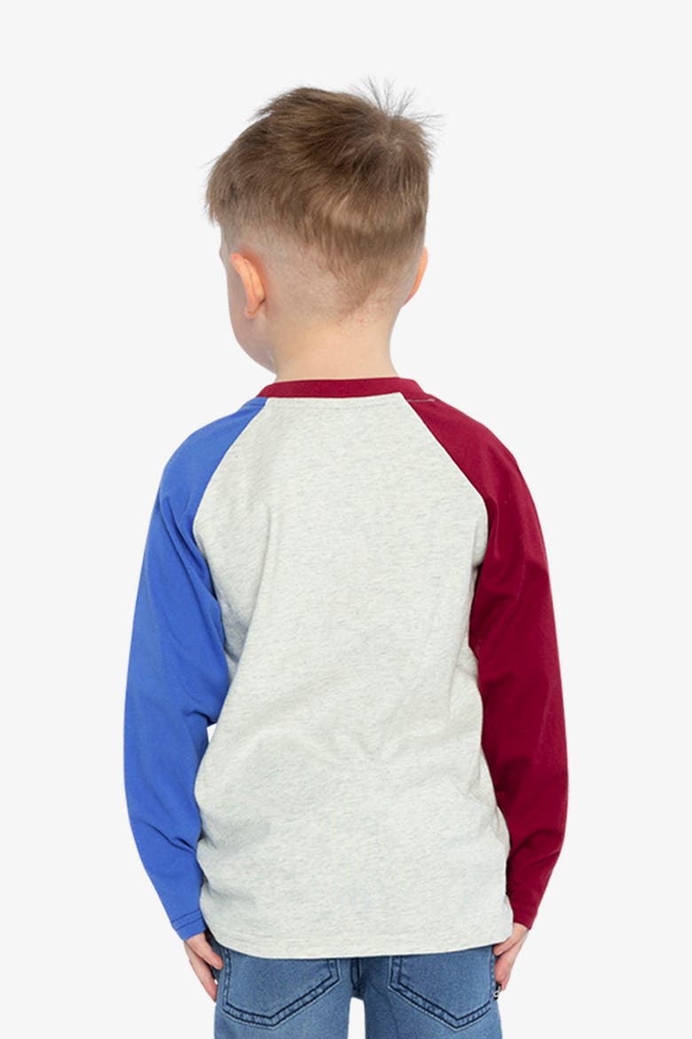 Ribbed Crew Neck Raglan Sleeves T-Shirt, Alternate, color, Heather Grey, Red and Blue