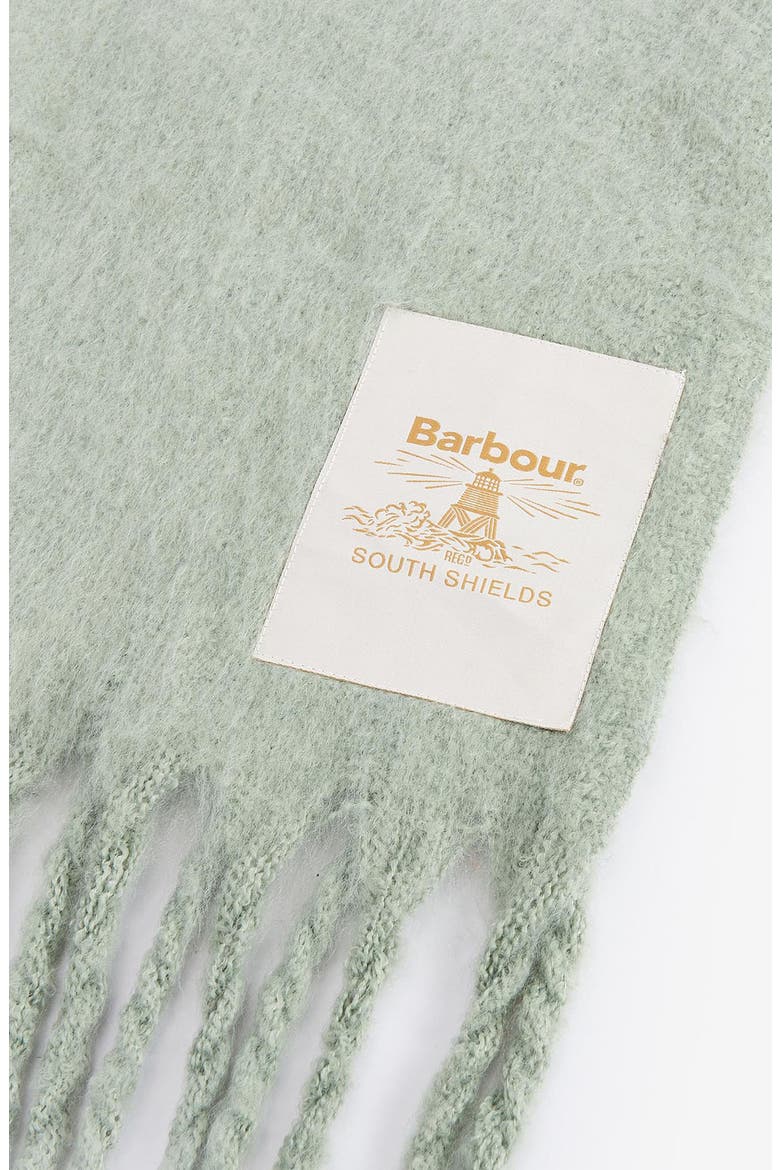 Ellison Oversize Scarf, Alternate, color, SOFT MINT