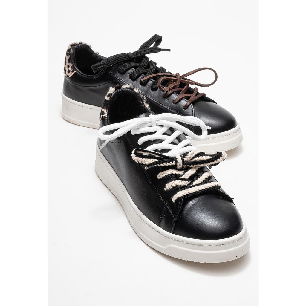 Forever & Always Shoes Warron Leather Sneakers In Multi