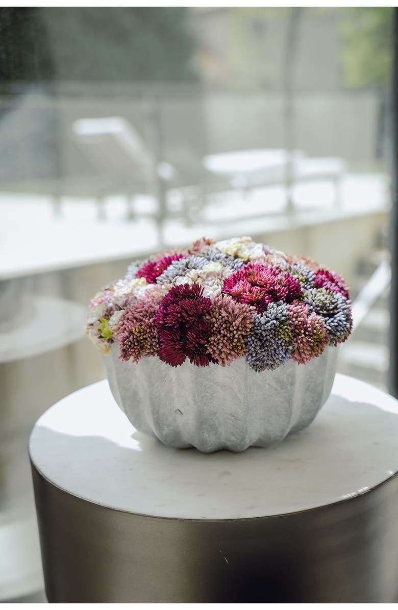 CocoBella Allison Ceramic Sedum Arrangement, Alternate, color, Pink