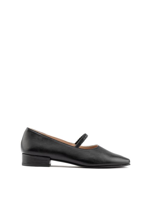 Maguire Pisa Ballerina In Black