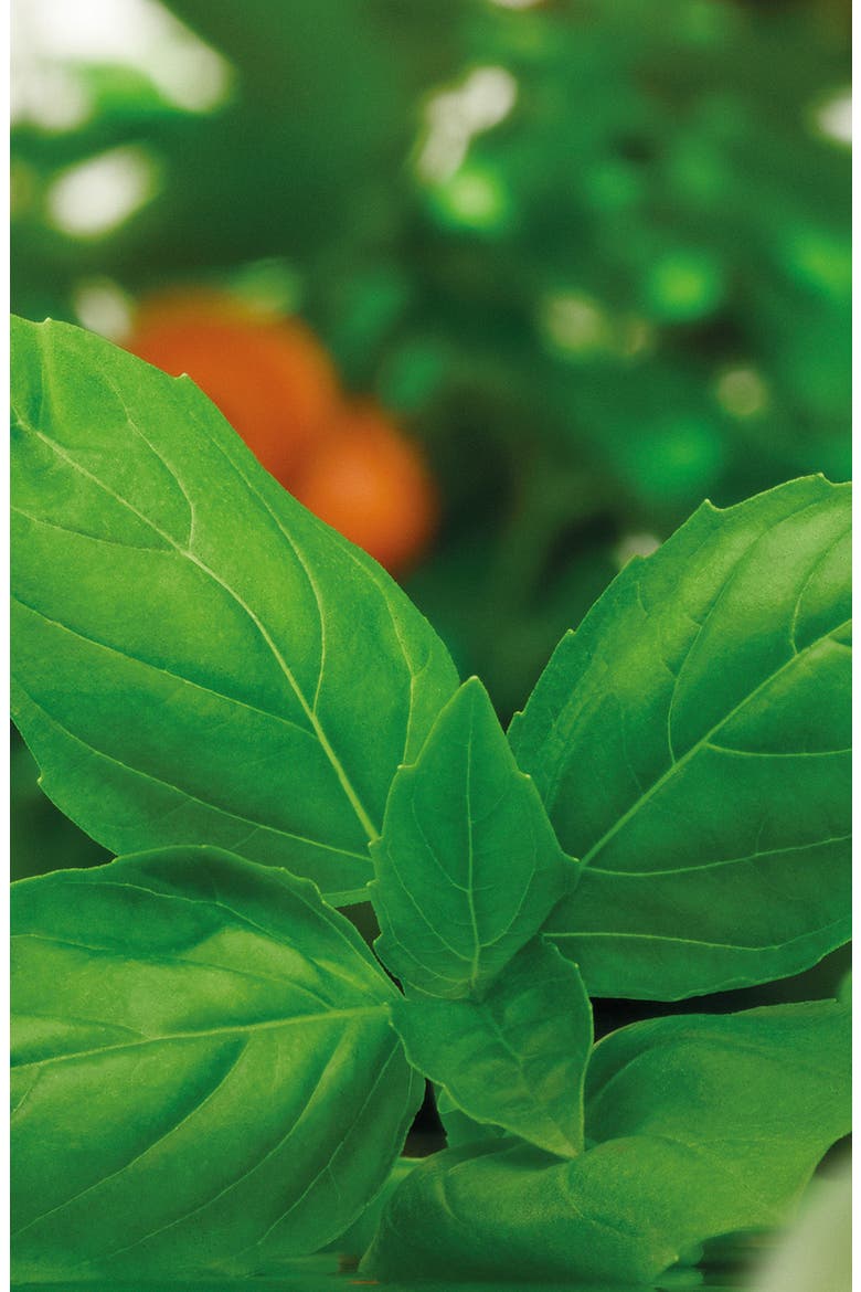 Basil & Neroli Body Crème, Alternate, color, NO COLOR