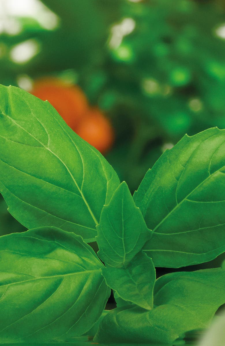 Jo Malone London<sup>™</sup> Basil & Neroli Body Crème, Alternate, color, 